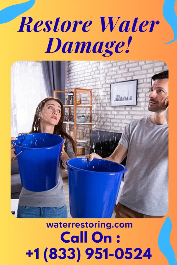 water restoration Stellar Cleanup Services Gordon