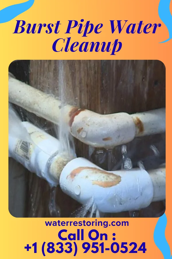 Burst Pipe Water Cleanup in Gordon, NE